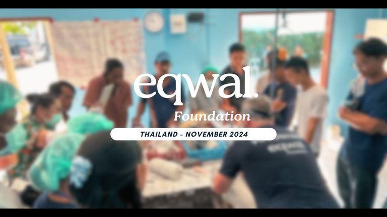 vignette vidéo : quatrième et cinquième missions humanitaires en Thaïlande